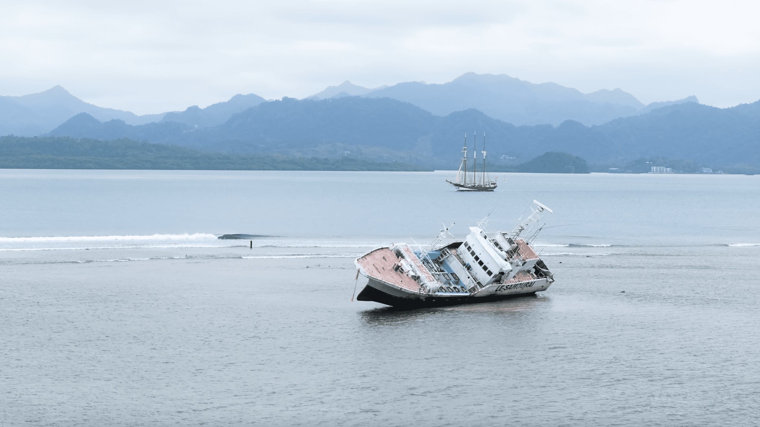 Daily Dive # 195 | Darwin200 Leg 23: Fiji to New Zealand